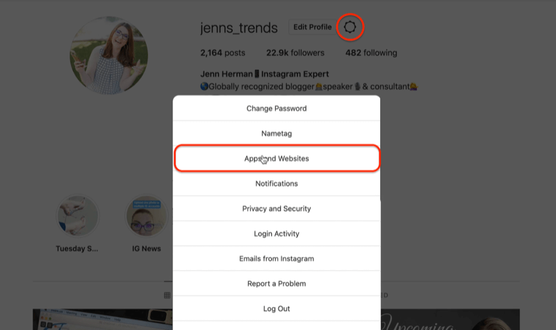profil instagram ikona koła zębatego edytuj opcje menu ustawień podświetlając opcję aplikacji i stron internetowych