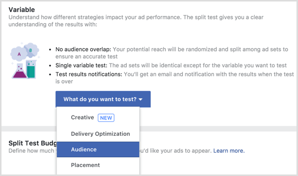 Zmienna testowa podziału reklam na Facebooku