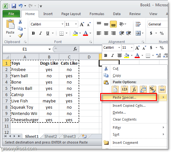 wklej specjalną funkcję programu Excel 2010