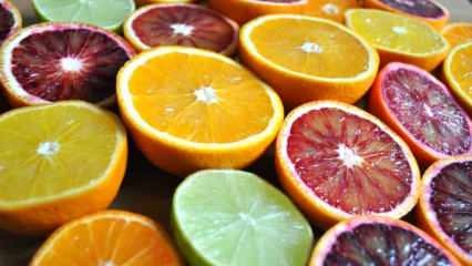 Jakie owoce to owoce cytrusowe? Jakie są zalety cytrusów?