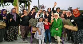 Pierwsza dama Erdoğan odwiedziła wioskę ekologiczną i zebrała lawendę w Ankarze