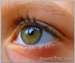 Adobe Photoshop Basics - Human Eye zaznacz całą warstwę oka