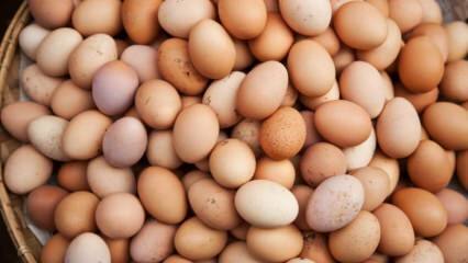 O czym należy pamiętać przy wyborze jajka?