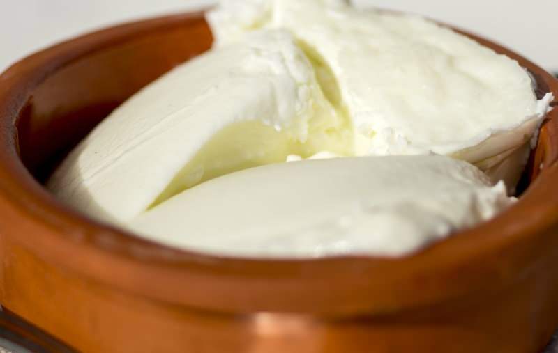 Jakie są zalety jogurtu bawolego? Jak zrobić jogurt z bawoła wodnego i do czego służy