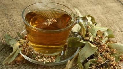 Jakie są zalety lipy? Jakie choroby są dobre? Jak zrobić herbatę lipową?