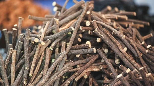 Jakie są zalety lukrecji? Jak zrobić herbatę z korzenia lukrecji? Do czego służy lukrecja?