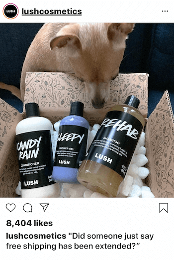 Post biznesowy na Instagramie z psem