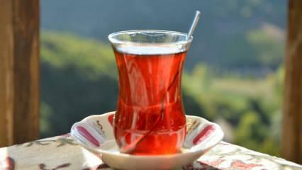 Po czym poznać, że herbata jest dobrej jakości? Sposoby zrozumienia jakości herbaty