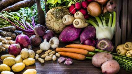 Jakie są warzywa korzeniowe? Jakie są zalety warzyw korzeniowych?