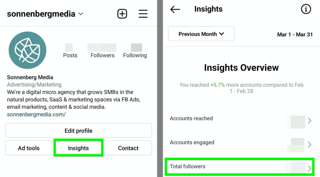 obraz opcji Instagram Insights Total Followers