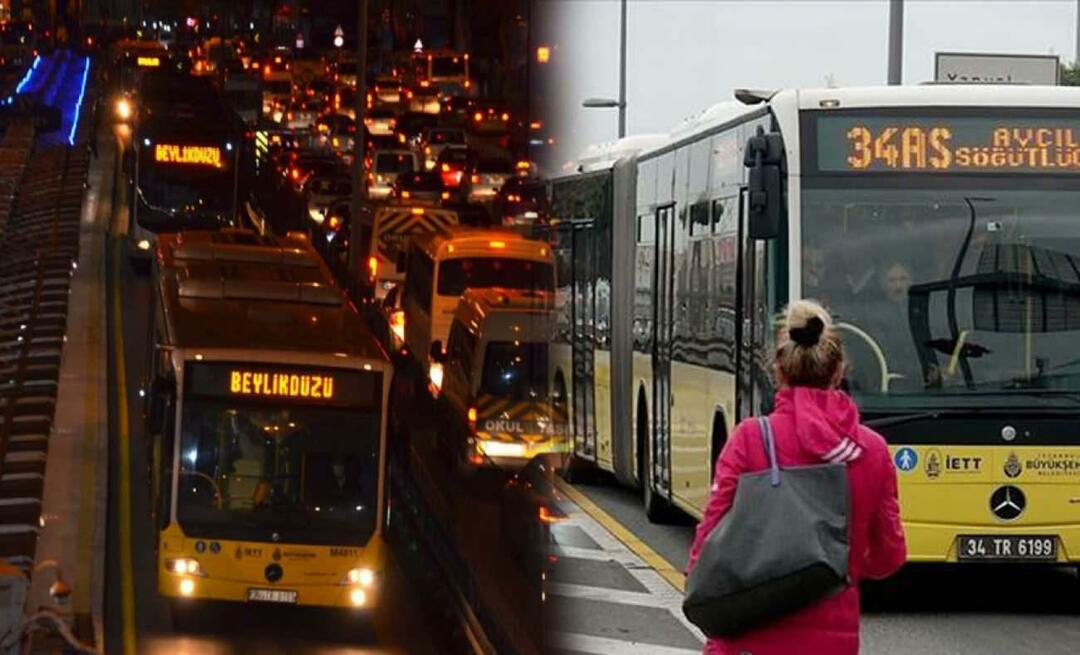 Jakie są przystanki Metrobus i jak się nazywają? Ile kosztuje bilet Metrobus 2023?