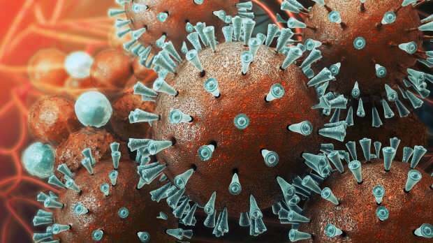 Wirus mers został po raz pierwszy zauważony w 2003 roku