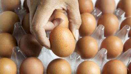 Praktyczne porady dotyczące utrzymywania świeżości jaj